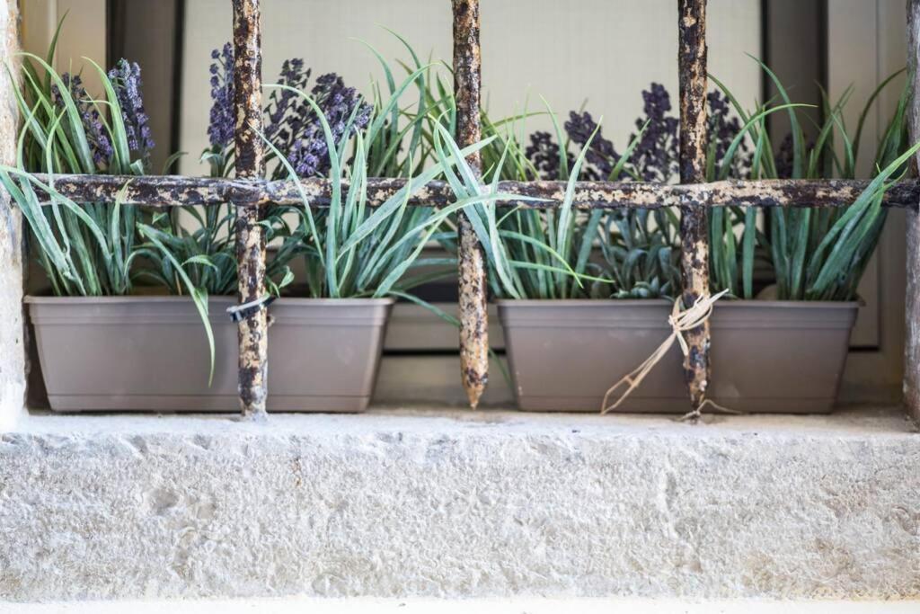Appartamento Paravento Lux Studio Corfu  Esterno foto
